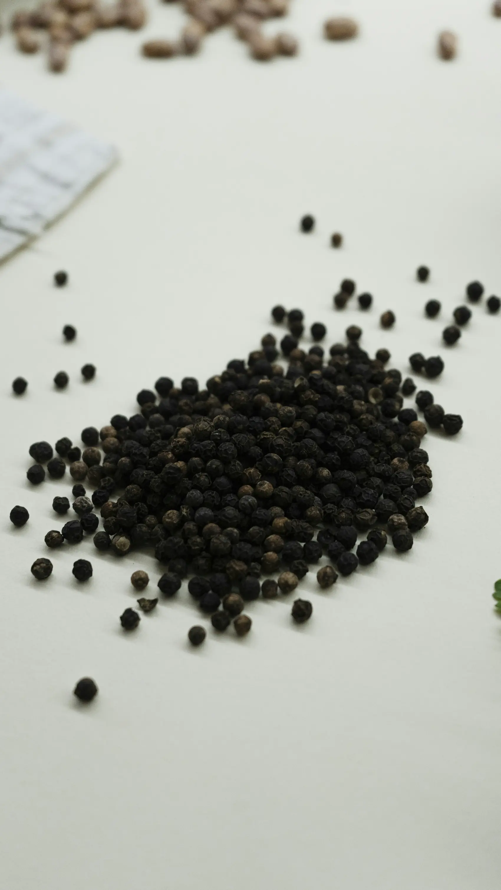 Black Pepper