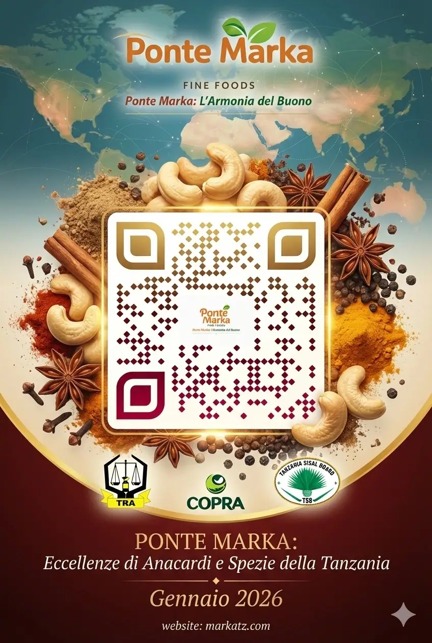 Premium Cashew Nuts from Tanzania